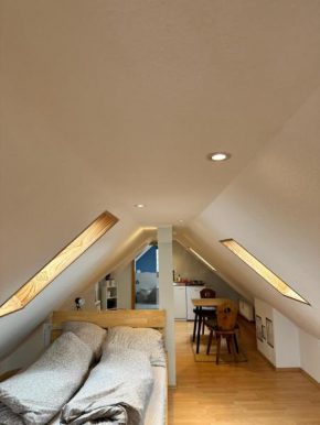 Appartement direkt am Schwarzwald